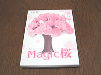 magicsakura01.jpg